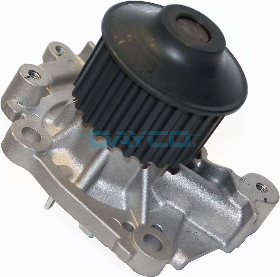 DP242