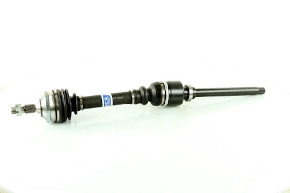C339AN