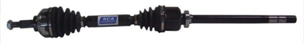 R393A