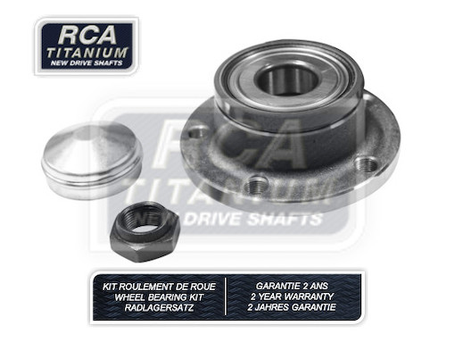 RCAK1309