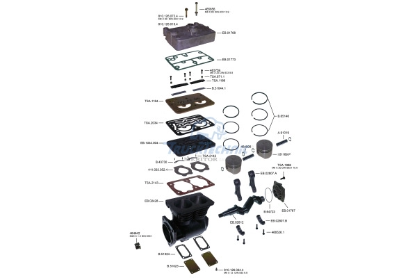 RX01.55.003