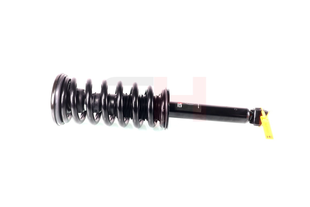 GH-333013C01
