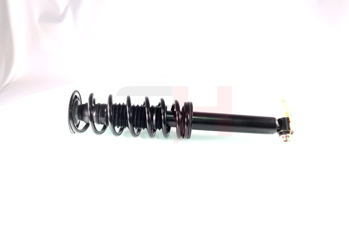 GH-331560C01