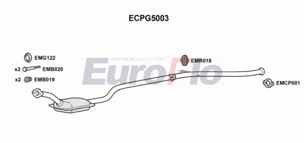 ECPG5003