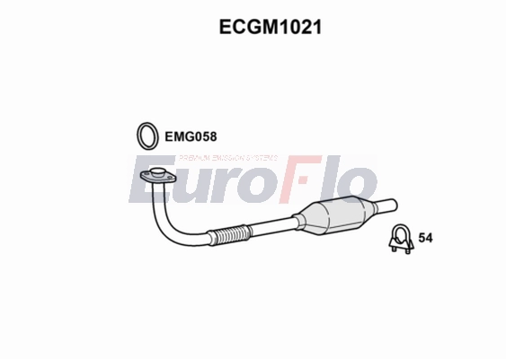 ECGM1021