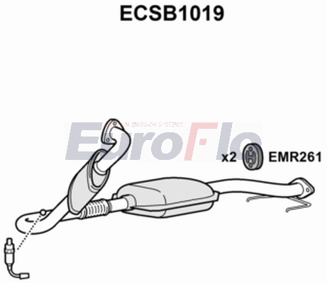 ECSB1019
