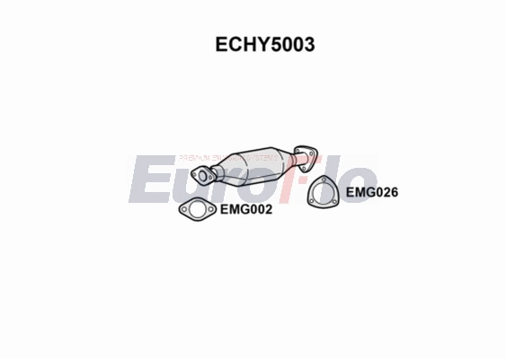 ECHY5003