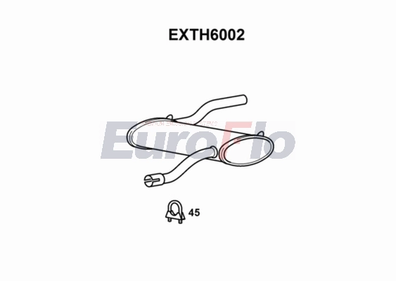 EXTH6002