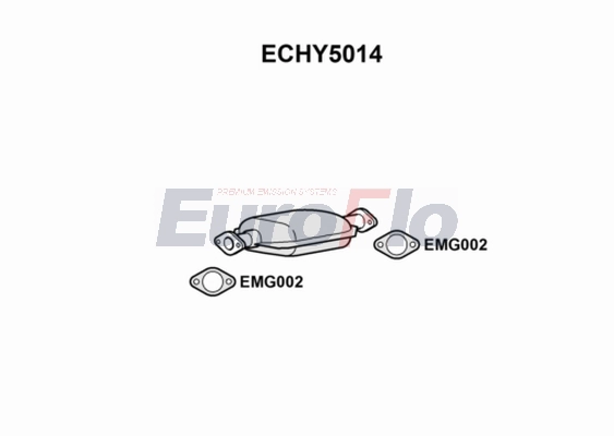 ECHY5014