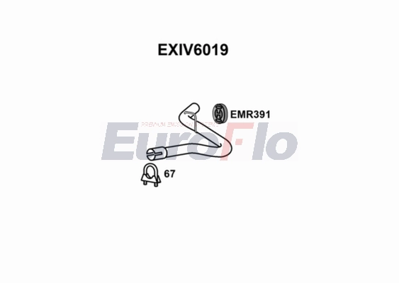 EXIV6019