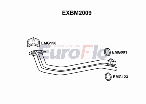 EXBM2009