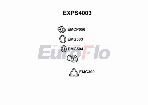 EXPS4003