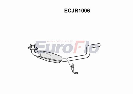 ECJR1006