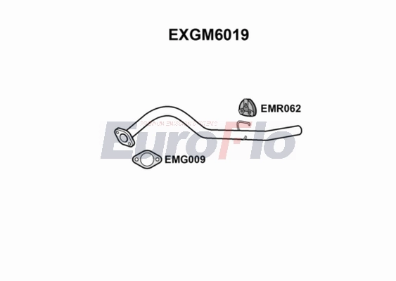 EXGM6019