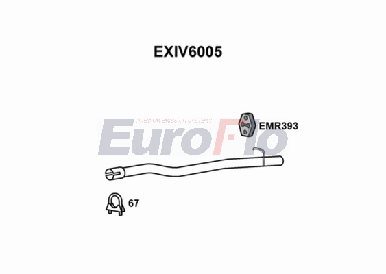 EXIV6005