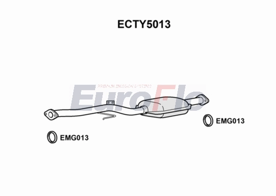 ECTY5013