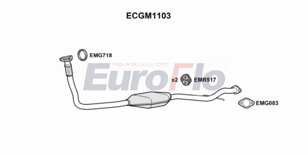 ECGM1103