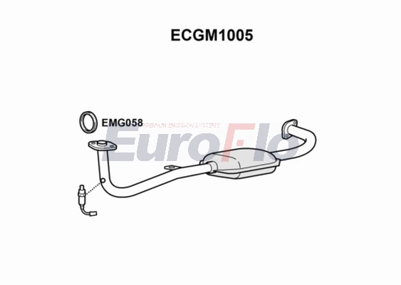 ECGM1005