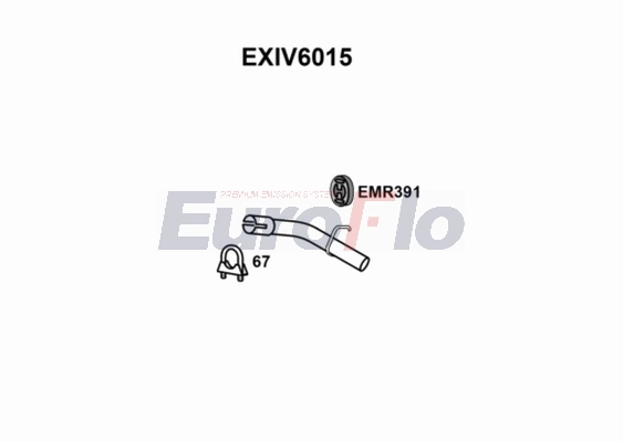 EXIV6015