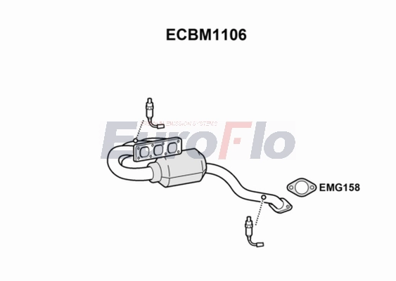 ECBM1106