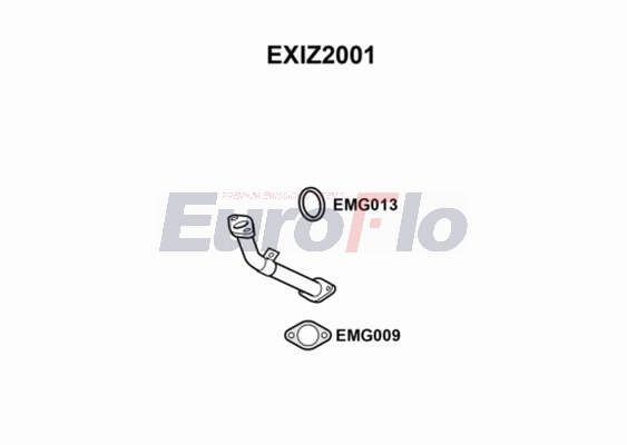 EXIZ2001