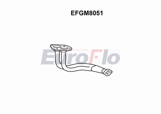 EFGM8051