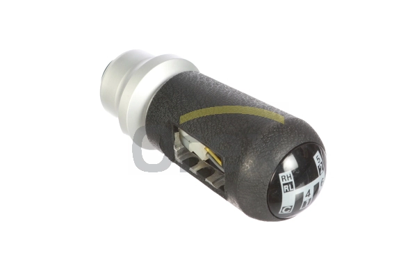 525019