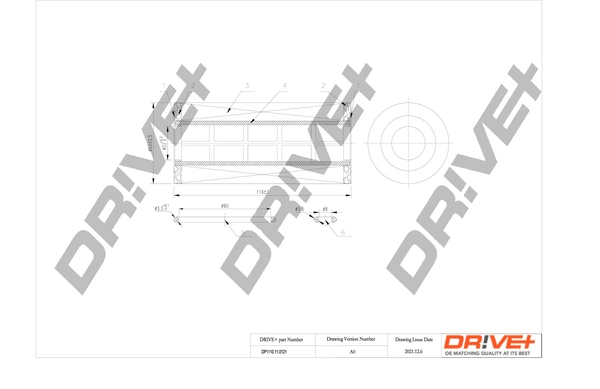 DP1110.11.0121