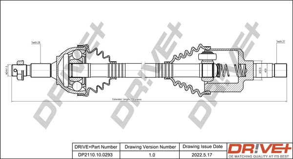 DP2110.10.0293