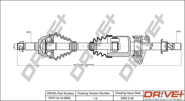 DP2110.10.0858
