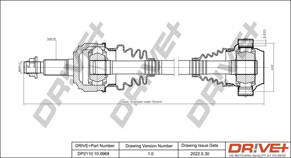 DP2110.10.0969