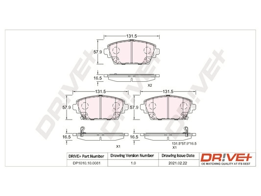 DP1010.10.0081
