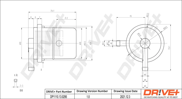 DP1110.13.0295