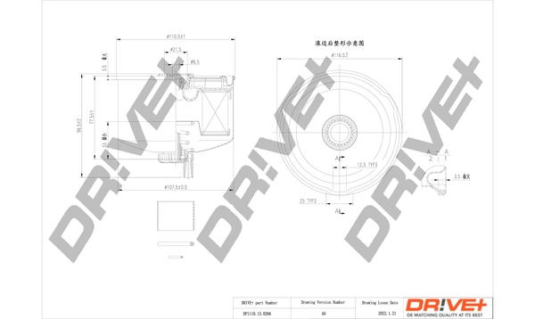 DP1110.13.0266