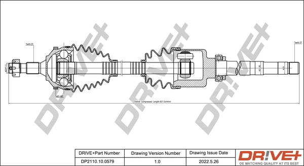 DP2110.10.0579