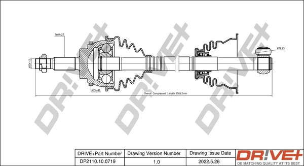 DP2110.10.0719