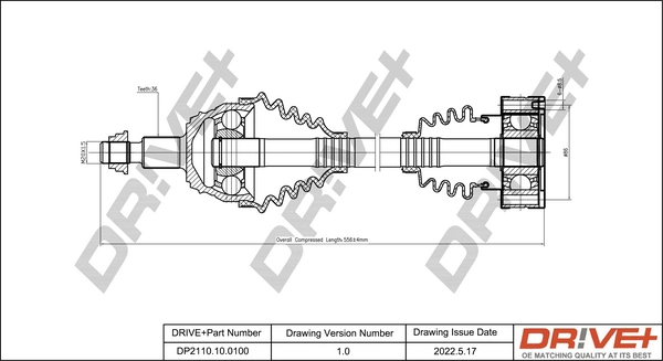 DP2110.10.0100