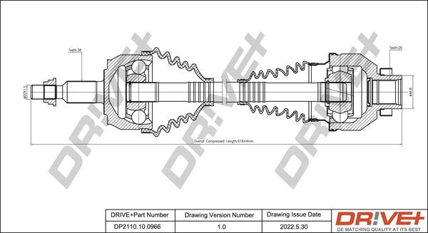DP2110.10.0966