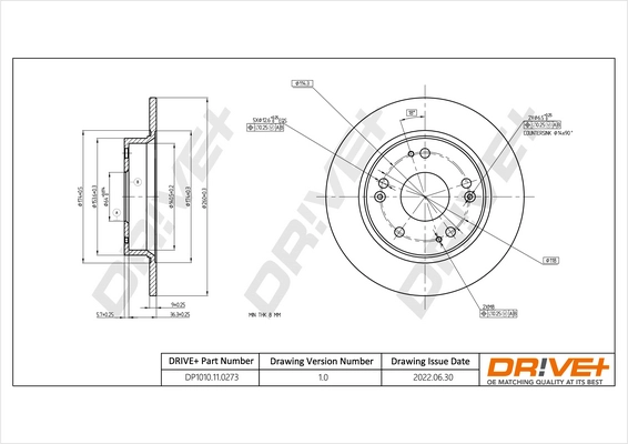 DP1010.11.0273