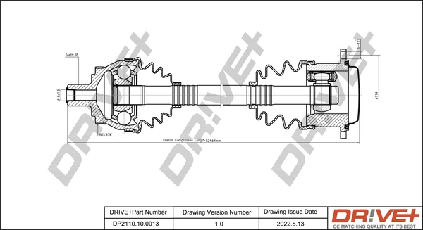 DP2110.10.0013