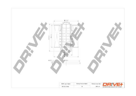 DP1110.13.0316