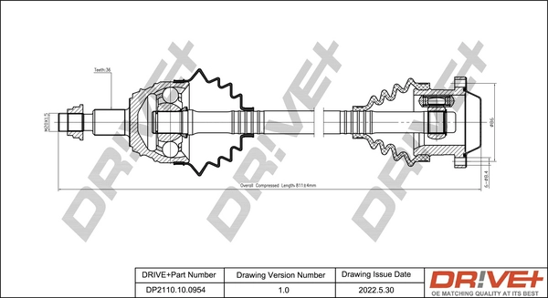 DP2110.10.0954