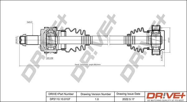 DP2110.10.0107