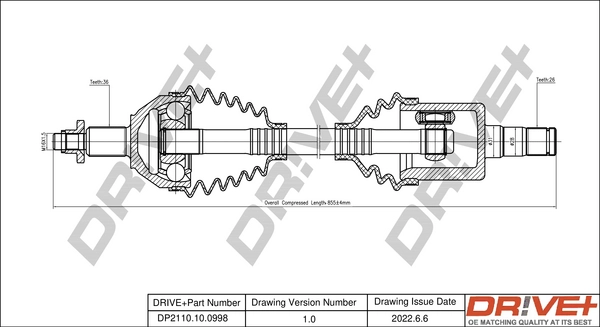 DP2110.10.0998