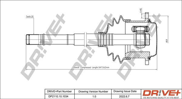 DP2110.10.1034