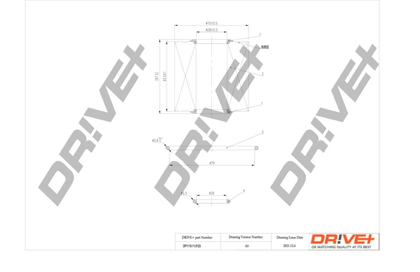 DP1110.11.0123