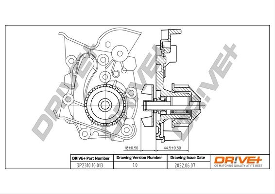 DP2310.10.013