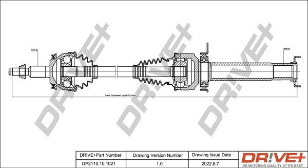 DP2110.10.1021