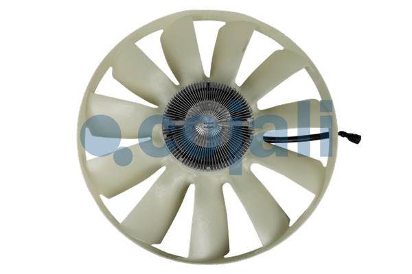 GC46-8C617-BD