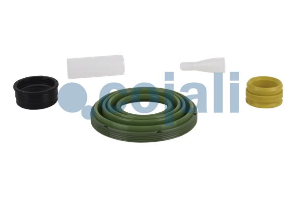6082021